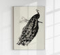 Antique Peacock Vintage Bird Poster – Fine Art Print or Canvas