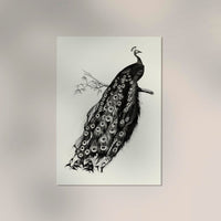 Antique Peacock Vintage Bird Poster – Fine Art Print or Canvas — Ansicht 2