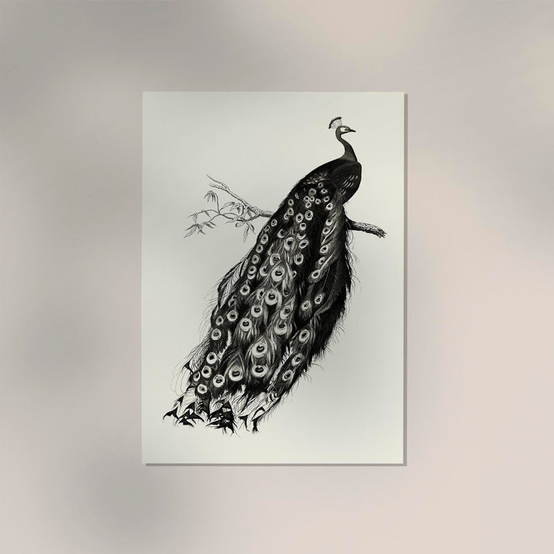 Antique Peacock Vintage Bird Poster – Fine Art Print or Canvas — Ansicht 2