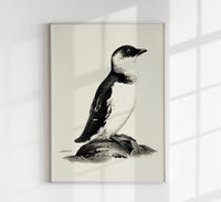 Antique Penguin Poster – Vintage Charm Fine Art Print Animal Motif — Ansicht 1