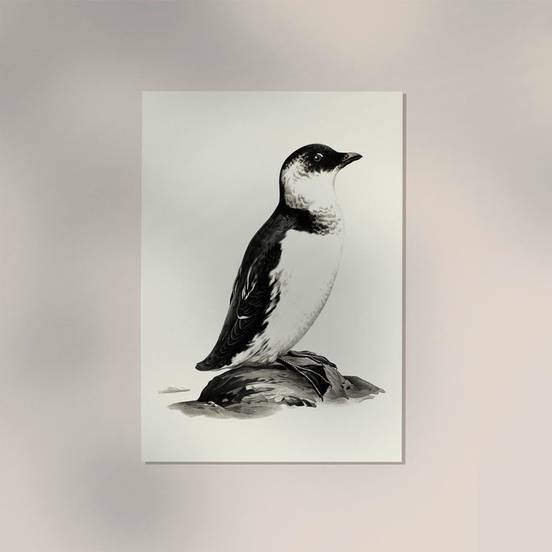 Antique Penguin Poster – Vintage Charm Fine Art Print Animal Motif — Ansicht 2