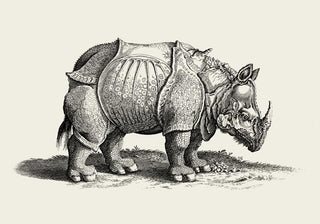 Antique Rhino Poster – Vintage Illustration | Fine Art Print | Canvas Option