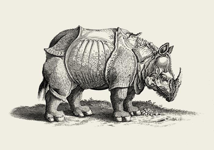 Antique Rhino Poster – Vintage Illustration Fine Art Print — Ansicht 3