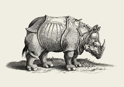 Antique Rhino Poster – Vintage Illustration Fine Art Print
