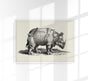 Antique Rhino Poster – Vintage Illustration Fine Art Print