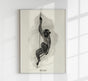 Antique Rhesus Monkey Poster – Vintage Animal Illustration Fine Art Print