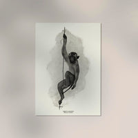 Antique Rhesus Monkey Poster – Vintage Animal Illustration Fine Art Print — Ansicht 2