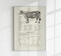 Antique Cow and Bull Hide Vintage Poster - Fine Art or Canvas