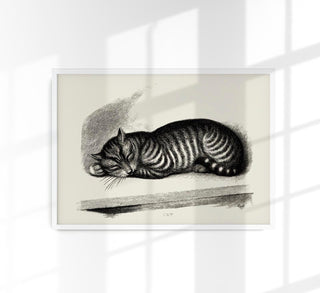 Vintage-Poster „Antique Sleeping Cat“ als Fine-Art-Print auf 225g Papier oder 380g Canvas, in A3 bis A0/B0, ohne Rahmen – ruhige Tierillustration.
