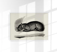 Antique Sleeping Cat Poster – Vintage Illustration Fine Art Print — Ansicht 1