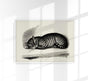 Antique Sleeping Cat Poster – Vintage Illustration Fine Art Print