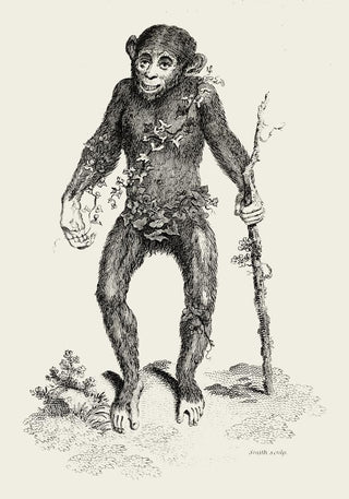 Antique Smiling Monkey – Vintage Animal Poster | Fine Art | Canvas