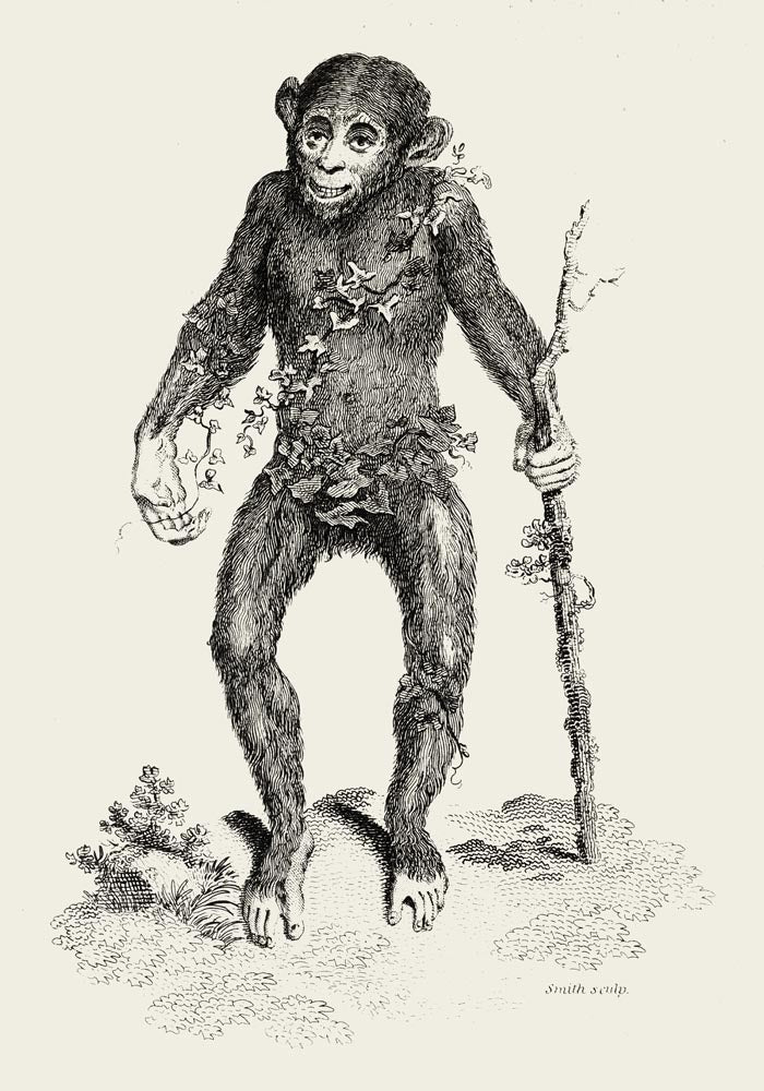 Antique Smiling Monkey – Vintage Animal Poster | Fine Art Print or Canvas — Ansicht 3