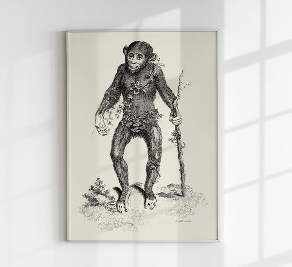Antique Smiling Monkey – Vintage Animal Poster | Fine Art Print oder Canvas