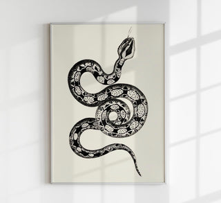 Antique Snake Poster – Vintage Illustration | Fine Art Print | Canvas Option