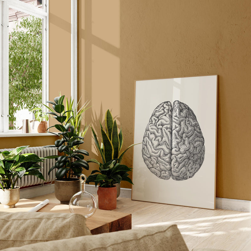 Anatomical Brain – Scientific Poster | Brain Anatomy | UV-resistant — Ansicht 2