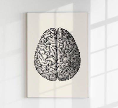 Heart & Brain Set of 2 Prints – Fine Art Poster Duo Atelierdruck Berlin