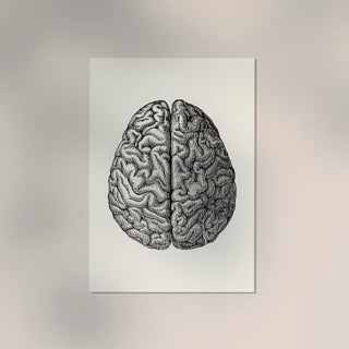Heart & Brain Set of 2 Prints – Fine Art Poster Duo | UV-beständig | Atelierdruck Berlin
