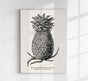 Antique Pineapple Poster – Fine Art Print Pineapple Botany UV-resistant