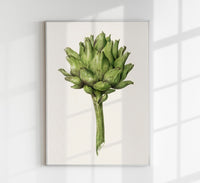 Antique Artichoke Poster – Fine Art Print UV-resistant Studio Print Berlin — Ansicht 1
