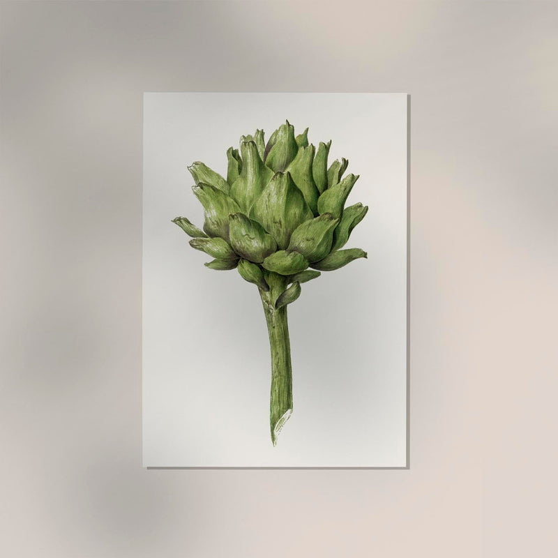 Antique Artichoke Poster – Fine Art Print UV-resistant Studio Print Berlin — Ansicht 2