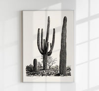 Antique Cactus Plant Poster – Fine Art Print UV-resistant Studio Print Berlin — Ansicht 1