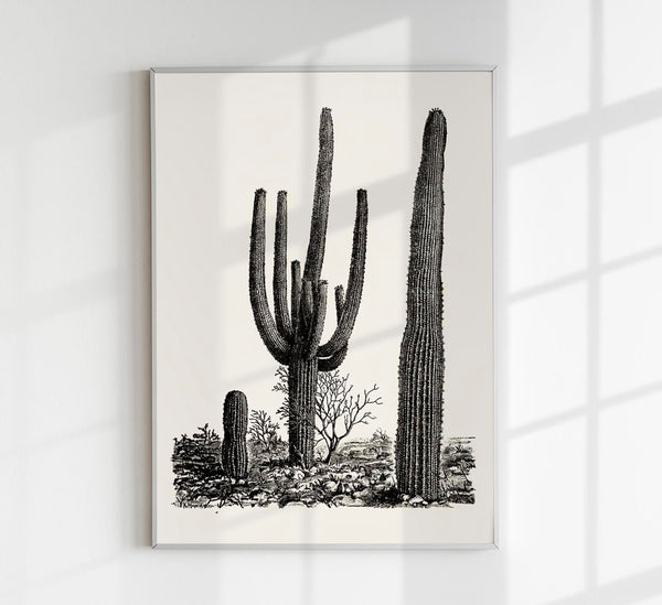 Antique Cactus Plant Poster – Fine Art Print UV-resistant Studio Print Berlin