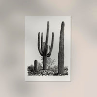 Antique Cactus Plant Poster – Fine Art Print UV-resistant Studio Print Berlin — Ansicht 2