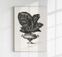 Antique Calathea Plant Poster – Fine Art Print Botany UV-resistant