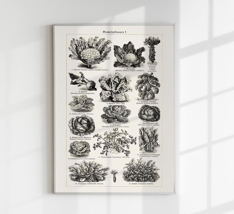 Antique Vegetable Chart Poster – Fine Art Print | Vintage Botanical | UV-resistant — Patroa Studio