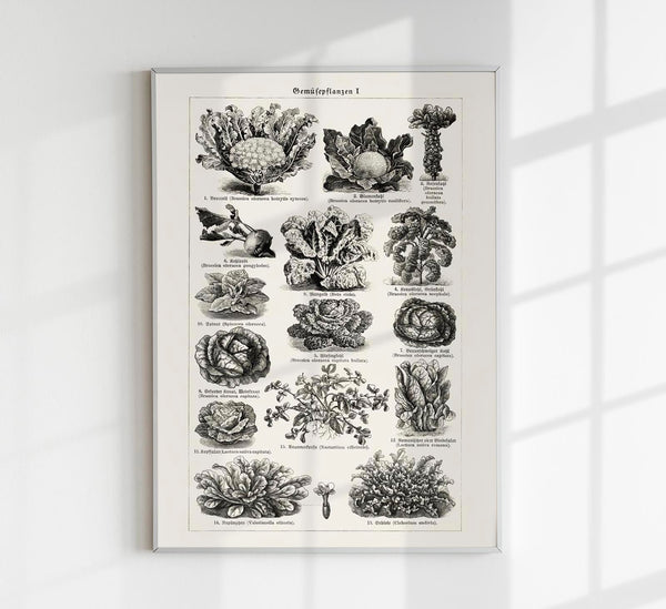 Antique Vegetable Chart Poster – Fine Art Print | Vintage Botanical | UV-resistent