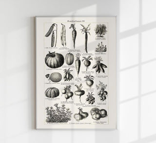 Antique Vegetable Chart III Poster – Fine Art Print | Vintage Botanical | UV‑resistent