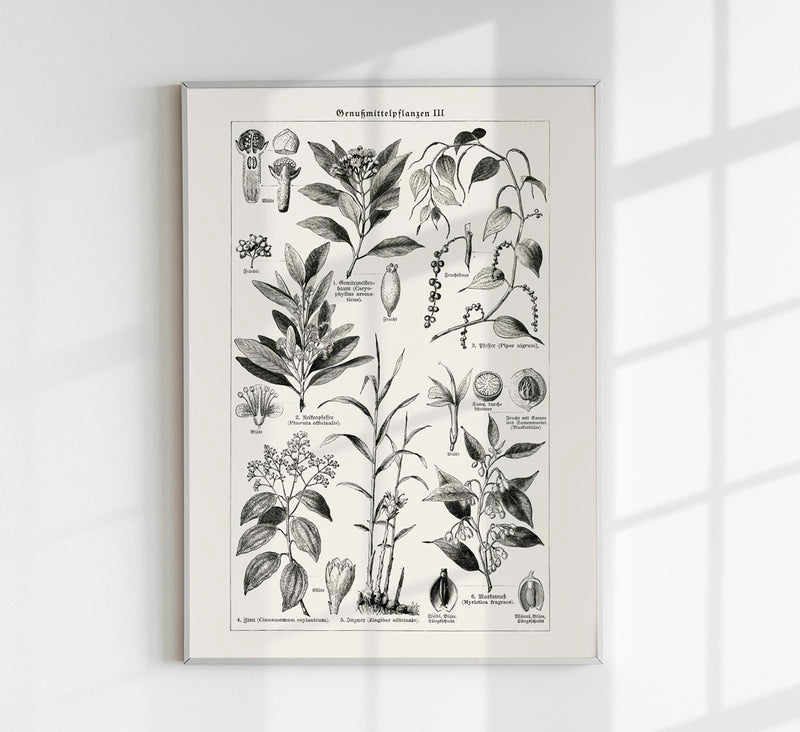 Antique Plant Seeds I Poster – Fine Art Print | Vintage Botanical | UV-Resistant — Patroa Studio