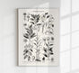 Antique Plant Seeds I Poster – Fine Art Print | Vintage Botanical | UV-Resistant