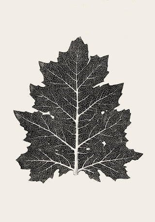 Antique Leaf Poster – Fine Art Print | Vintage Botanical | UV‑resistent
