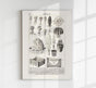 Antique Cactus Plant I Poster – Fine Art Print UV-resistant Studio Print Berlin