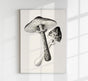 Antique Mushroom Poster – Fine Art Print Botany UV-Resistant