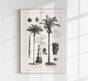 Antique Palm Tree I Poster – Fine Art Print | Vintage Botanical | UV-resistant