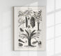 Antique Palm Tree III Poster – Fine Art Print Vintage Botany UV-resistant