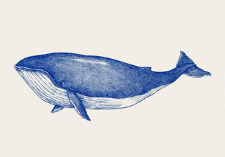 Blue Whale Art Print – Fine Art Print | Coastal | Modern