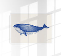 Blue Whale Art Print – Fine Art Poster | Coastal Design | Patroa Studio — Ansicht 1