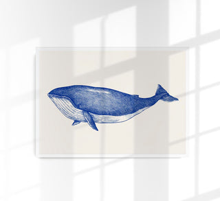 Blue Whale Art Print – Fine Art Print | Coastal | Modern