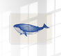 Blue Whale Art Print – Fine Art Poster | Coastal Design | Patroa Studio