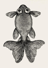 Fish with Big Eyes Antique Print – Vintage Marine Animal Art Print — Ansicht 4