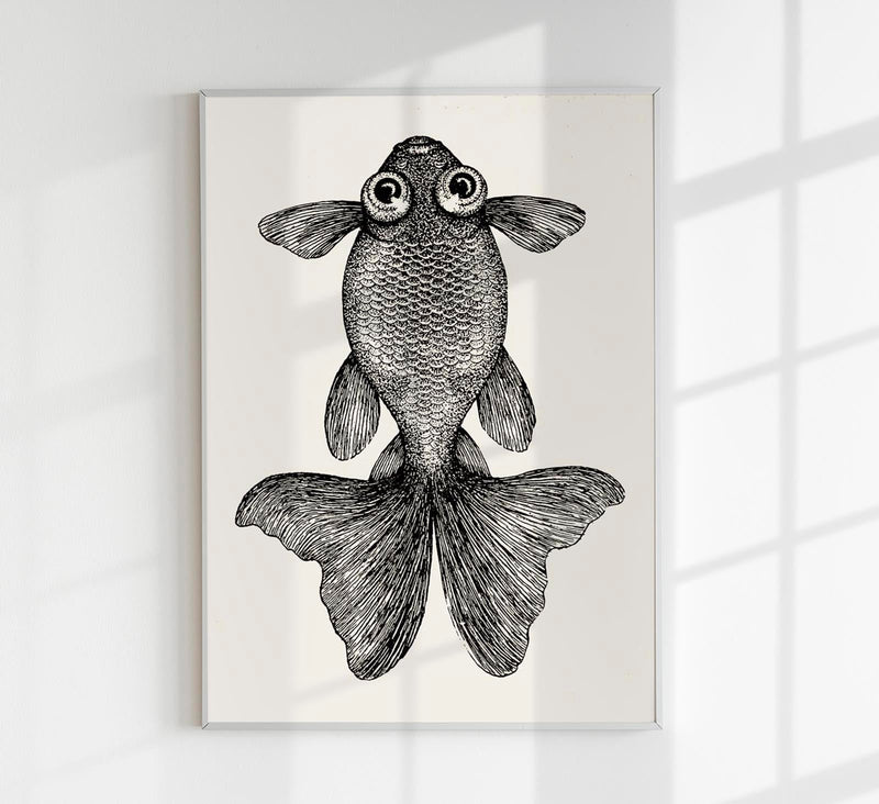 Fish with Big Eyes Antique Print – Vintage Marine Animal Art Print — Patroa Studio