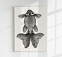 Fish with Big Eyes Antique Print – Vintage Marine Animal Art Print