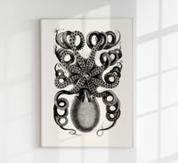 Octopus Back Antique Print - Vintage Poster Patroa Studio — Ansicht 1