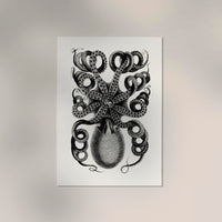 Octopus Back Antique Print - Vintage Poster Patroa Studio — Ansicht 2