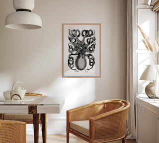 Octopus Back Antique Print