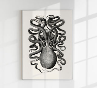 Octopus Front Antique Print